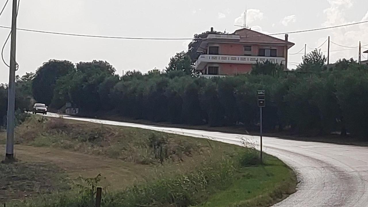 B&B I Tre Ulivi Morro dʼOro Exterior foto